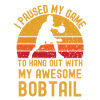 Basketball et Bobtail