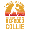 Basketball and Bearded-Collie