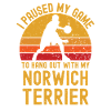 Basketball and Norwich Terriers