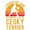 Basketball and Cesky Terriers