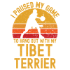 Basketball and Tibetan Terrier