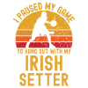 Basketball and Irish Setter