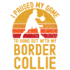 Basketball et Border Collie