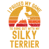 Basketball et Silky Terrier