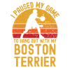 Basketball and Boston Terriers