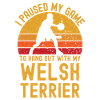 Basketball and Welsh Terrier