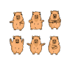 Capybara Gave Børn Capybara