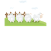 Sheep
