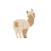 Alpaka Wanderung