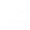 Liedgitarrist
