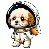 Cavachon Puppy Astronaut