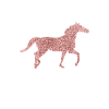 Idée cadeau Club d’équitation
