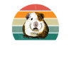 Guinea pig guinea pig mom guinea pig
