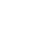 Vienna
