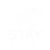 Violon Violon Musical