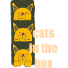 chats dans la boîte
