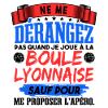 Boule Lyonnaise Amusant