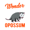 Opossum Cadeau Marsupial Opossum