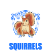 Eichhörnchen Geschenk Squirrel Grauhörnchen
