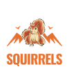 Squirrel Gift Gray Squirrel