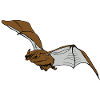 Flying bat