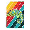 Chameleon