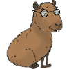 Capybara with glasses