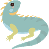 Blue Green Iguana