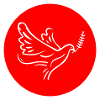 Pigeon Circle