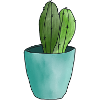 Desert cactus in pastel