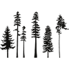 pine tree