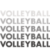 Sport Volleyball