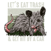 Opossum possum animal