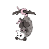 Opossum possum animal