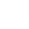 Scotland Lion Scottish
