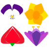 Four spring flowers