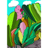 PINK CACTUS