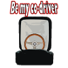 Be my co-driver
