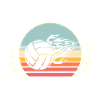 Volleyball Coach