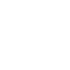 Spider wasp - tarantula killer
