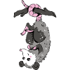 Opossum