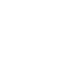 Ant