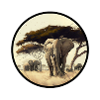 Serengeti with elephant
