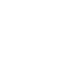 Beginner