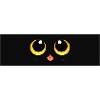 Kawaii cat face