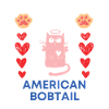 American bobtail Paw Dog