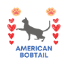 American bobtail Paw Dog