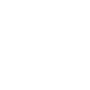 Bus Bus Driver Dog