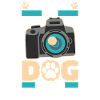 Cinematographer Dog