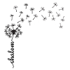 Shalom Löwenzahn Design
